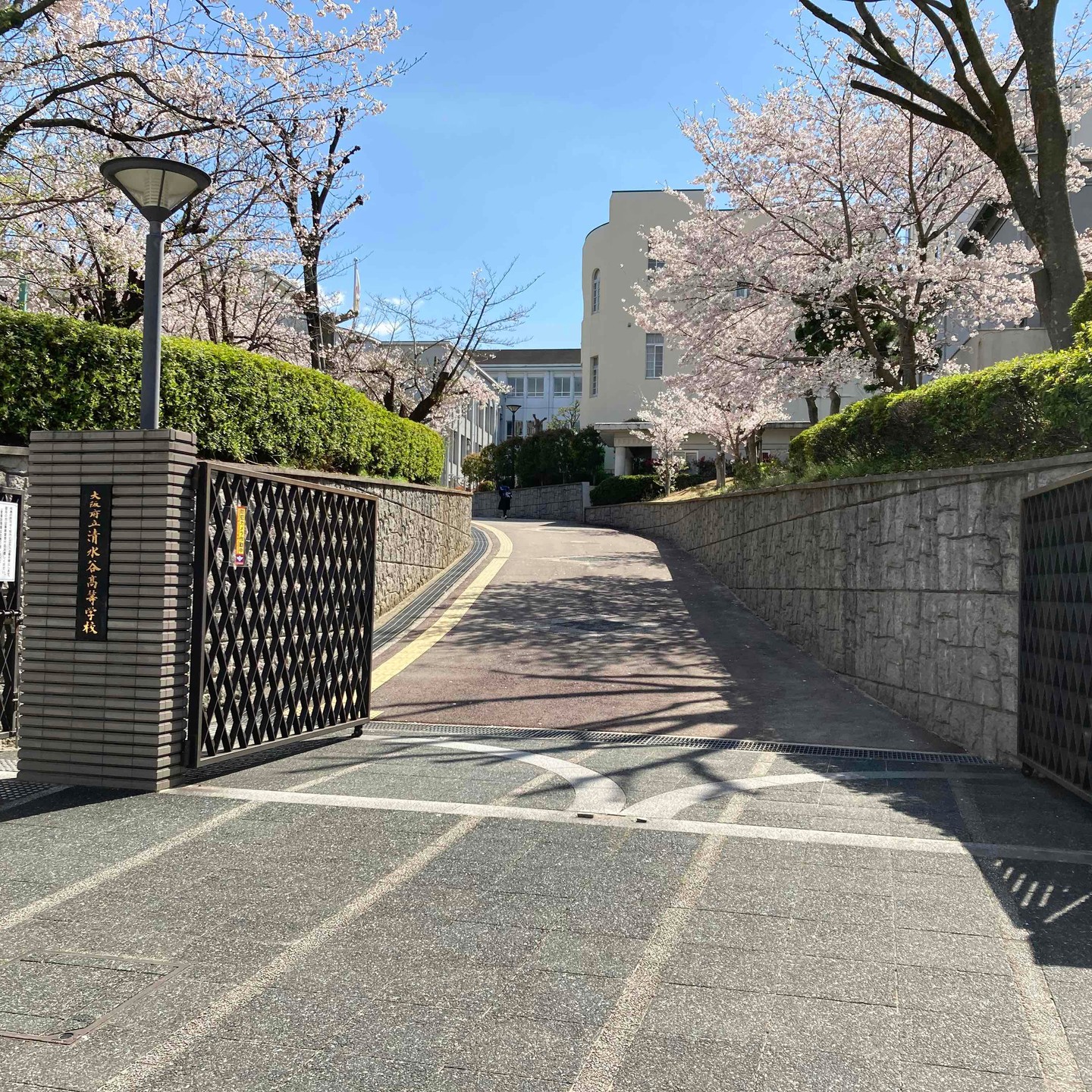 Instagram投稿画像