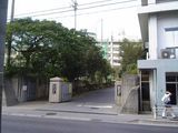 沖縄尚学高等学校