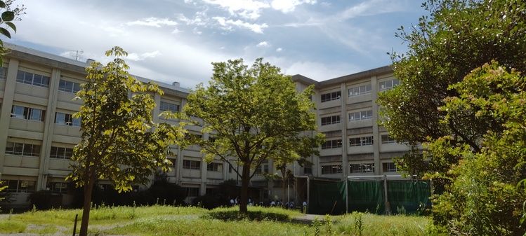 金井高等学校画像