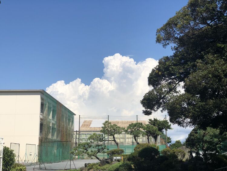 横浜緑ケ丘高等学校画像