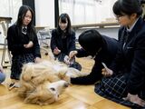 京都聖カタリナ高等学校その他画像