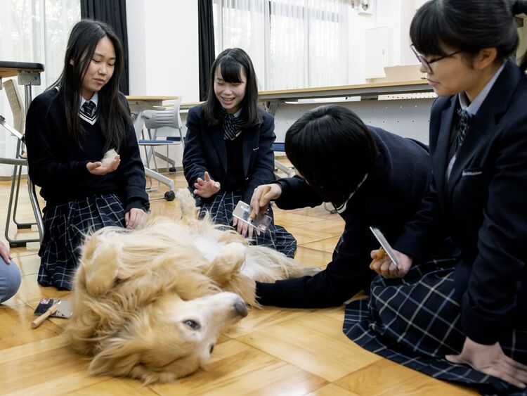 京都聖カタリナ高等学校画像