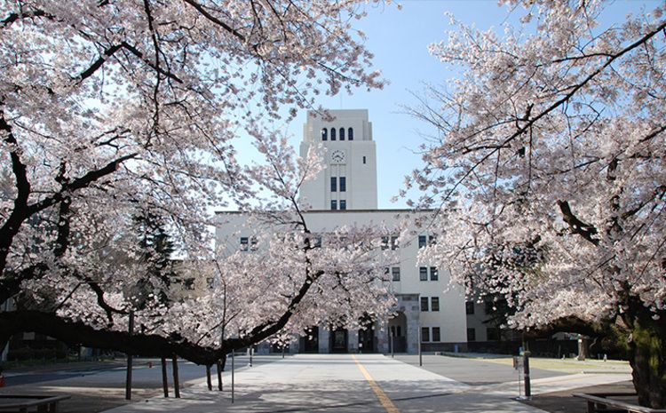 東京工業大学画像