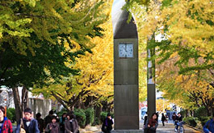 横浜市立大学画像