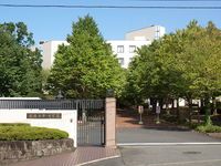 横浜美術大学の情報満載 偏差値 口コミなど みんなの大学情報