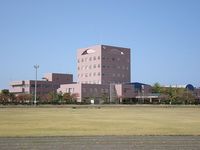 新潟国際情報大学