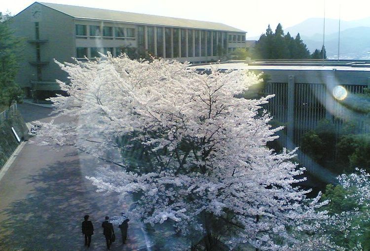 京都産業大学の情報満載 偏差値 口コミなど みんなの大学情報