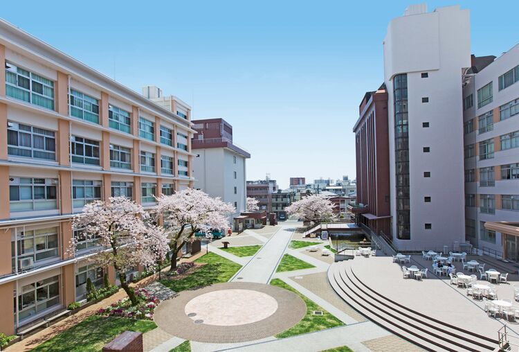 大阪成蹊大学画像