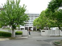 甲南女子大学の偏差値 21年度最新版 みんなの大学情報