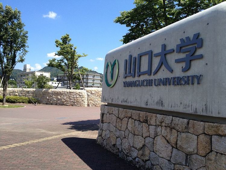 山口大学の情報満載 偏差値 口コミなど みんなの大学情報