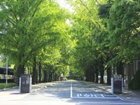 熊本学園大学