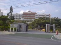 沖縄国際大学