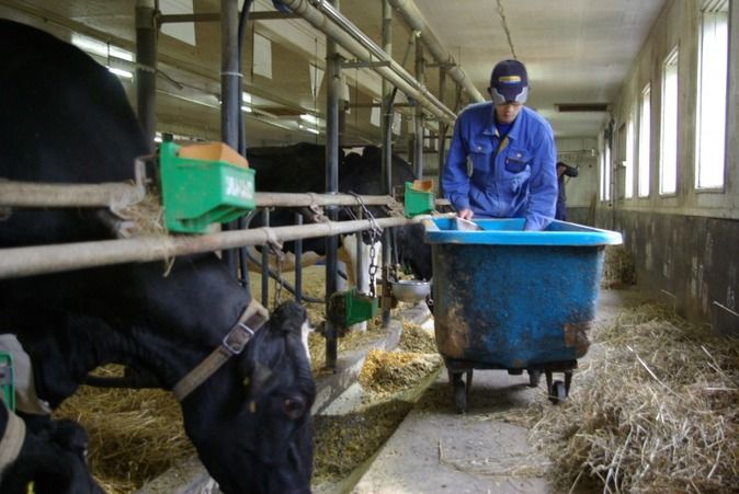 北海道農業専門学校