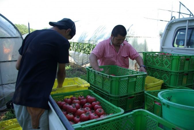 北海道農業専門学校
