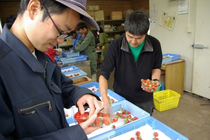 北海道農業専門学校