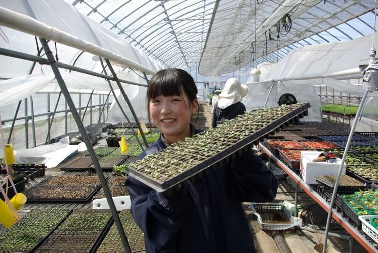北海道農業専門学校画像