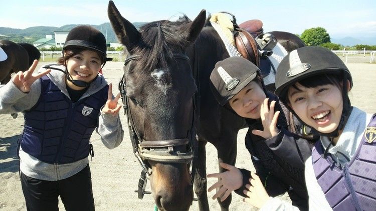 浦河赤十字看護専門学校の情報満載 口コミ 就職など みんなの専門学校情報