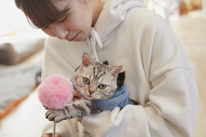 仙台総合ペット専門学校