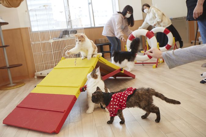 仙台総合ペット専門学校