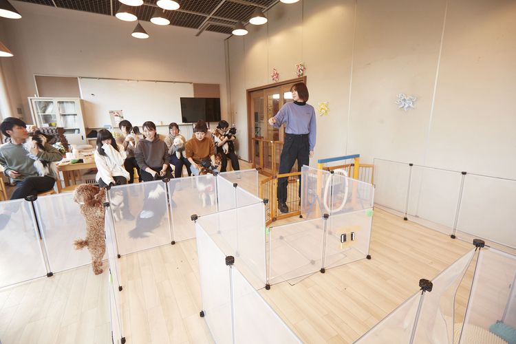 仙台総合ペット専門学校画像