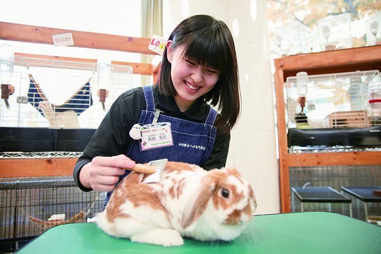 仙台総合ペット専門学校画像