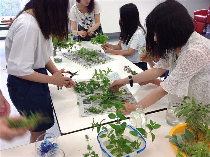 専門学校山形Ｖ．カレッジ