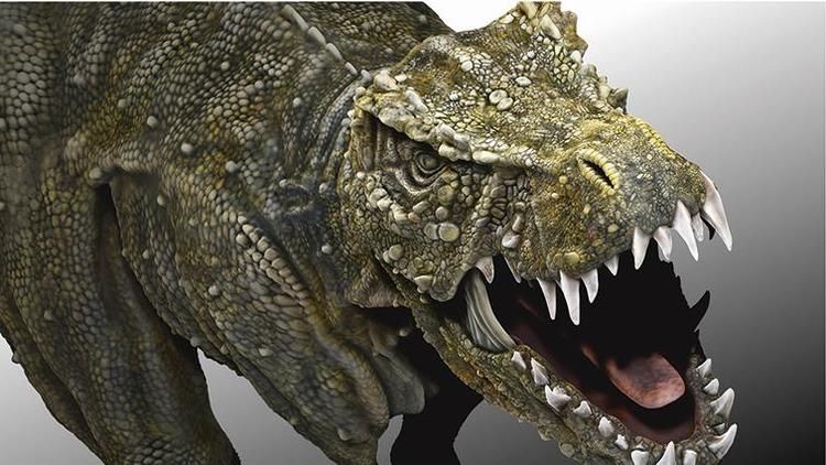 東京デザインテクノロジーセンター専門学校画像