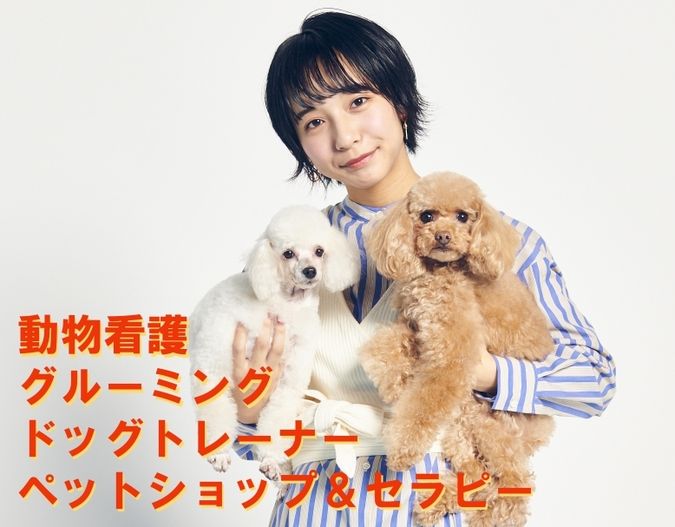 専門学校日本動物21