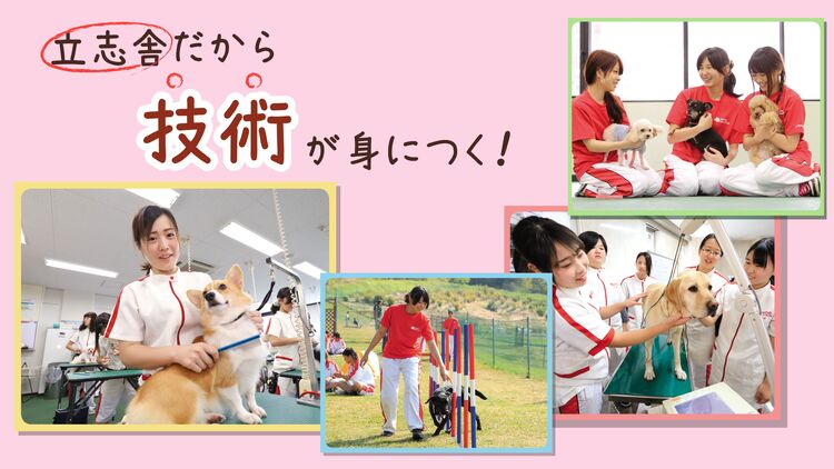 専門学校日本動物２１画像