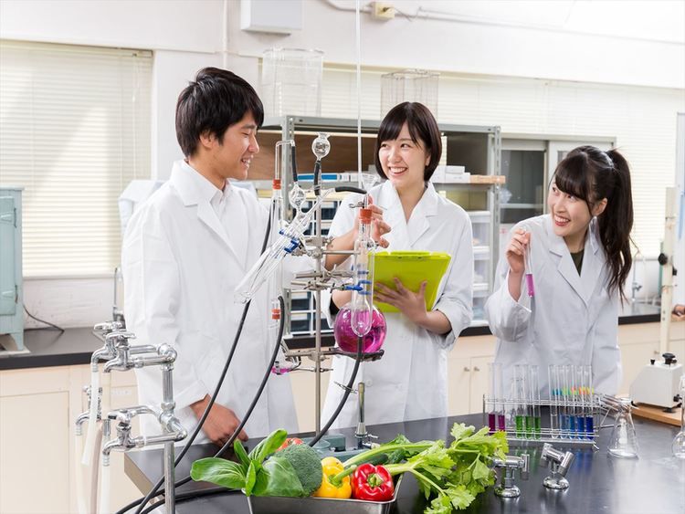 東京栄養食糧専門学校画像
