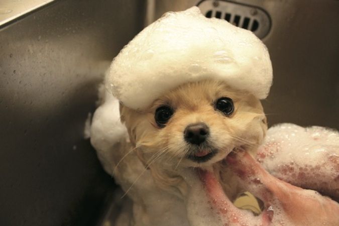 専門学校ビジョナリーアーツ