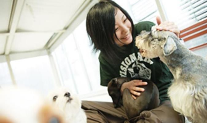 専門学校ビジョナリーアーツ