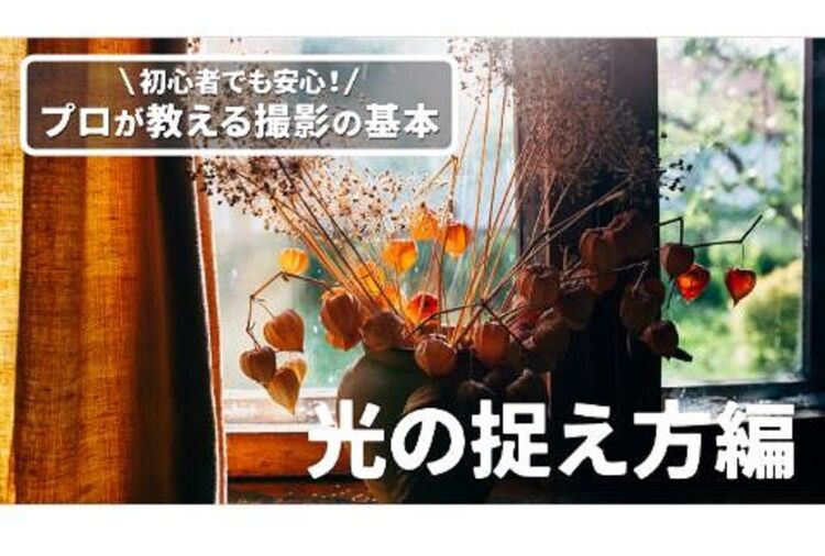 初心者でも安心！プロが教える撮影の基本「光の捉え方編」