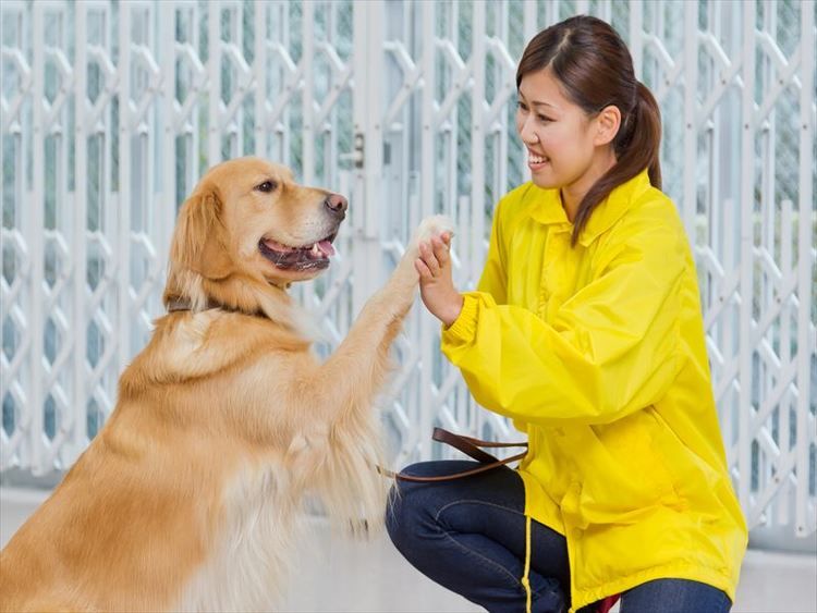 ヤマザキ動物専門学校画像