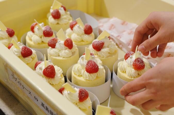 服部栄養専門学校