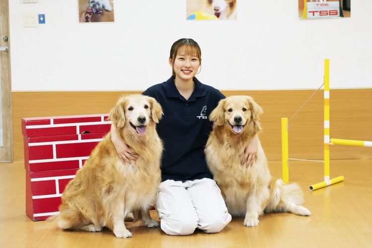 【トリマー・ドッグトレーナー体験】ワンちゃんと触れ合いながらペット業界のお仕事を知ろう