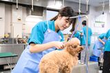 東京愛犬専門学校