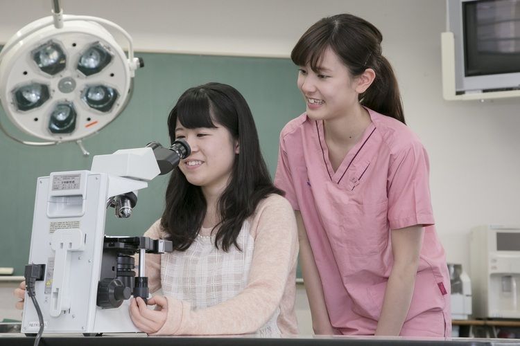 東京愛犬専門学校画像
