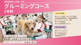 日本動物専門学校