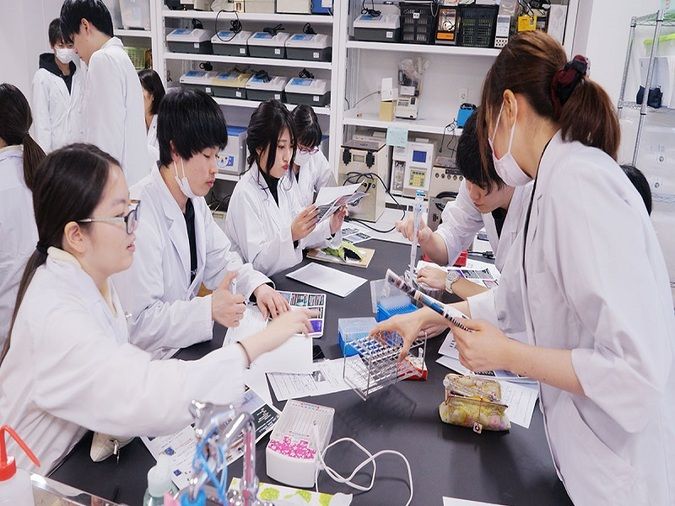 東京電子専門学校