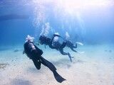 ダイビング体験