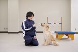 中央動物専門学校