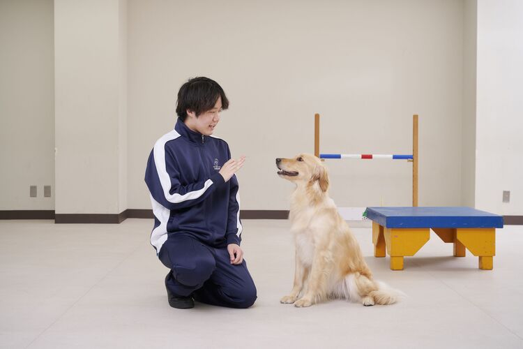 中央動物専門学校画像