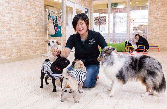 ＴＣＡ東京ＥＣＯ動物海洋専門学校