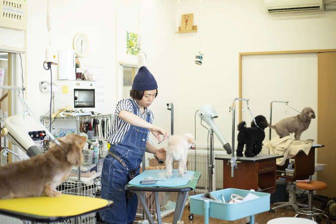 ＴＣＡ東京ＥＣＯ動物海洋専門学校