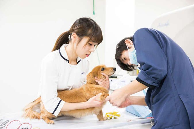 ＴＣＡ東京ＥＣＯ動物海洋専門学校