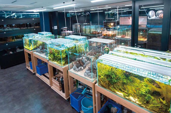 ＴＣＡ東京ＥＣＯ動物海洋専門学校