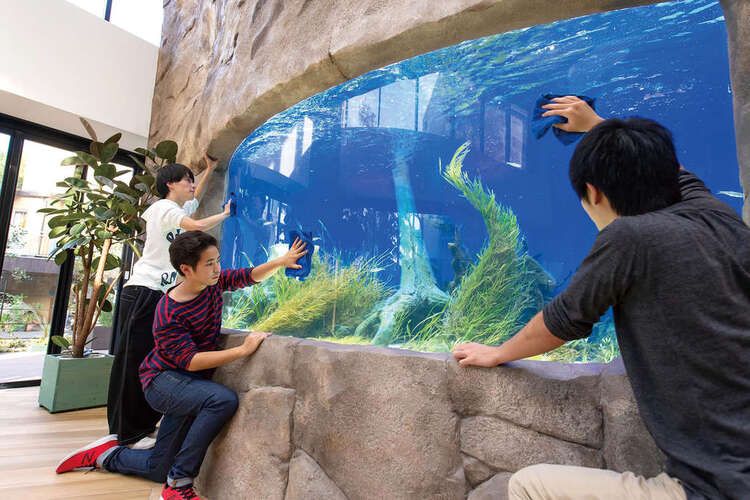 ＴＣＡ東京ＥＣＯ動物海洋専門学校画像