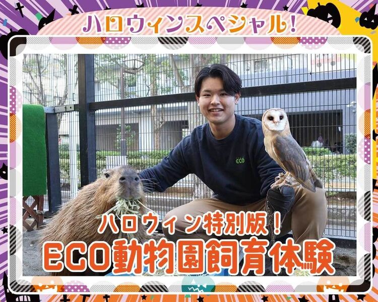 ハロウィン特別版！ECO動物園飼育体験