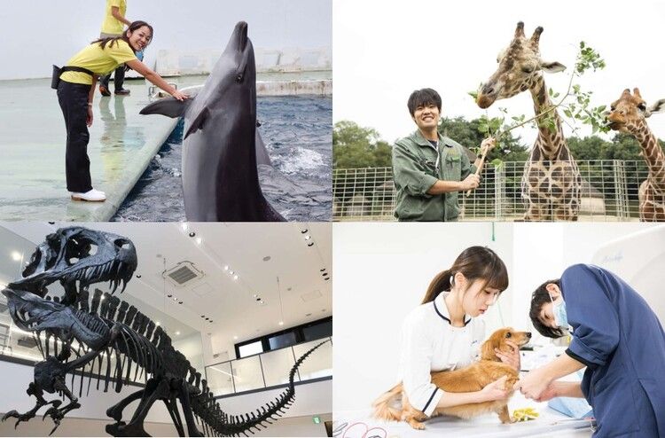 ペット・動物・海洋・環境業界で『好き』を『仕事』にするための体験入学